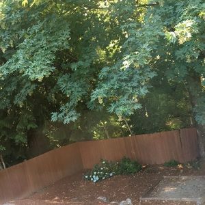 Meet your Posher, Hayden